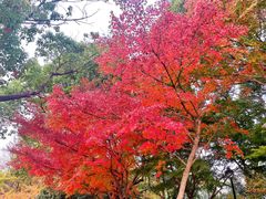 -渤公岛生态公园