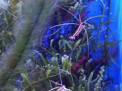 -多彩贵州城极地海洋世界