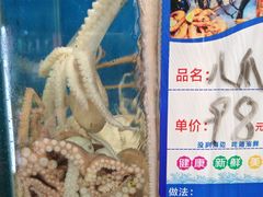 -小郭私房菜·海肠捞饭(学士街店)