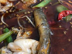 -邱氏胖泥鳅(大堰店)