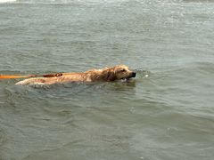 -珠海金沙滩
