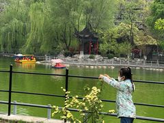 -莲湖公园