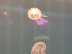 -福州罗源湾海洋世界旅游区