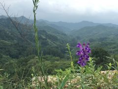 -蟠龙山长城景区