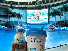 -海合安成都极地海洋公园