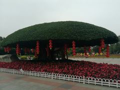 -南宁南湖公园