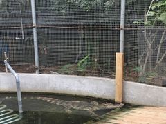 -呀路古热带植物园