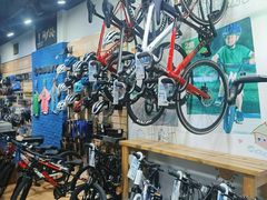 -GIANT捷安特自行车专卖店(金桥台儿庄路店)