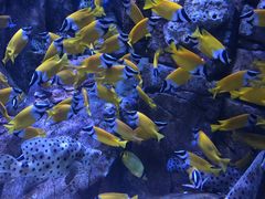-成都浩海立方海洋公园