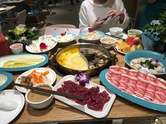 -青瓷火锅料理(西单大悦城店)