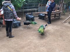 -呀路古热带植物园