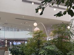 -大树餐厅(红旗街万达店)