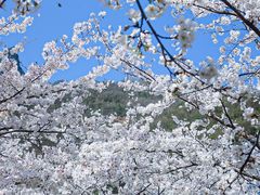 -高岚大峡谷旅游度假区