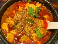 -陈麻婆豆腐总店