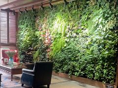 -泽云梵莲花足浴 按摩 SPA(滨湖店)