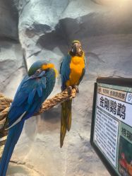 -Zoolung Zoolung动物主题公园(海信广场店)