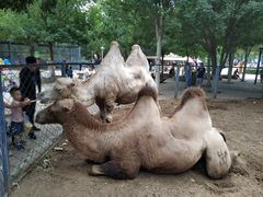 -长白岛森林公园