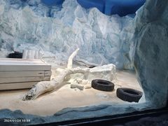 -珠海长隆海洋王国