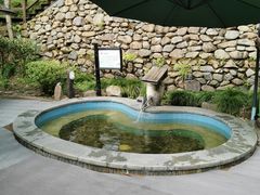 -宁海森林温泉