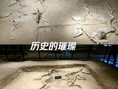 -洛阳周王城天子驾六博物馆