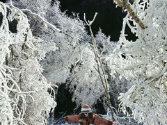-叠溪松坪沟景区