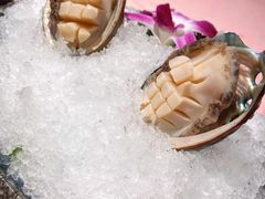 鲜鲍鱼-龙鲜会·澳门生鲜火锅(诚品店)