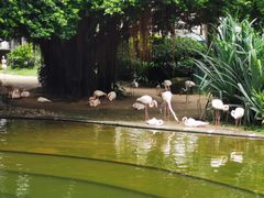 -九龙公园