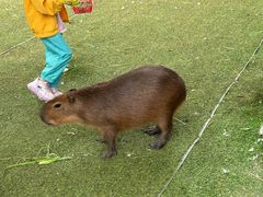 -昆明动物园