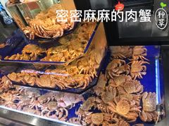 -蟹道乐(道顿堀本店)