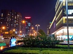 -大望路(地铁站)