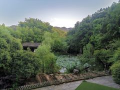 -西院1号(龙井店)