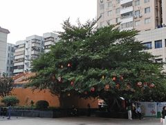 -有章牛杂(石厦店)