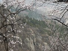 -阳台山自然风景区