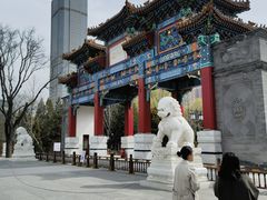 -迎泽公园
