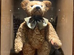 -济州岛泰迪熊博物馆