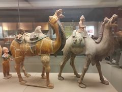 -西安大唐西市博物馆