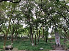 -古隆中景区