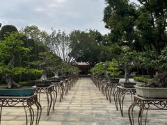 -广东圆玄道观