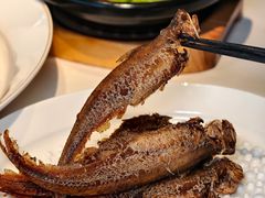 -食廬(虹桥南丰城店)