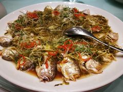 -新吉士·上海菜(浦东LCM置汇旭辉店)