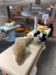 -奈尔宝·儿童乐园·亲子餐厅(星河湾店)