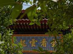 -西安大兴善寺