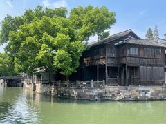 -乌镇东栅景区