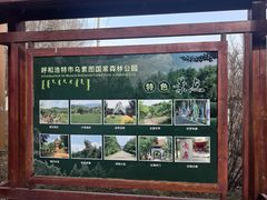 -乌素图国家森林公园