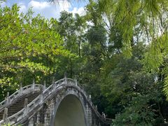 -深圳仙湖植物园