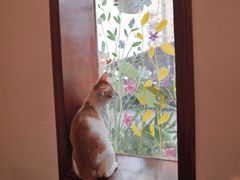 -初甜·舒芙蕾·韩式雪花冰(流塘店)