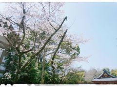 -鹤冈八幡宫