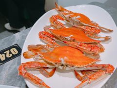 -1937青岛老味道·海肠捞饭·青岛菜(大鲍岛栈桥店)