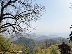 -莫干山风景区