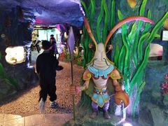 -上海昆虫博物馆